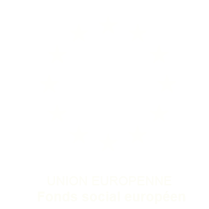 fonds social europeen