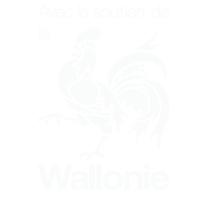 logo region wallone2